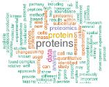 wordcloud.jpg